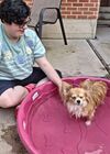 Filename=20250805_006.jpg
Filesize=670KiB
Dimensions=2048x1536
Date added=Sep 03, 2025 20250805_006.jpg