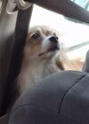 Filename=20250806_001.jpg
Filesize=553KiB
Dimensions=2048x1536
Date added=Sep 03, 2025 20250806_001.jpg