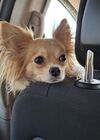 Filename=20250806_002.jpg
Filesize=420KiB
Dimensions=2048x1536
Date added=Sep 03, 2025 20250806_002.jpg