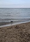 Filename=20250811_006.jpg
Filesize=804KiB
Dimensions=2048x1536
Date added=Sep 03, 2025 20250811_006.jpg