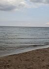 Filename=20250811_007.jpg
Filesize=547KiB
Dimensions=2048x1536
Date added=Sep 03, 2025 20250811_007.jpg