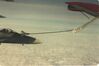 Filename=AAR_014.jpg
Filesize=421KiB
Dimensions=1022x678
Date added=Sep 26, 2008 AAR_014.jpg