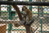 Filename=Athena-20050726_045.jpg
Filesize=240KiB
Dimensions=1024x683
Date added=Sep 28, 2008 Athena-20050726_045.jpg