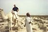 Filename=Gulf_039.jpg
Filesize=494KiB
Dimensions=1022x681
Date added=Sep 27, 2008 Gulf_039.jpg