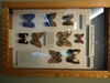 Filename=DSC00215.JPG
Filesize=386KiB
Dimensions=2048x1536
Date added=Jul 01, 2013 DSC00215.JPG