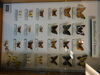 Filename=DSC00217.JPG
Filesize=325KiB
Dimensions=2048x1536
Date added=Jul 01, 2013 DSC00217.JPG