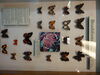 Filename=DSC00223.JPG
Filesize=376KiB
Dimensions=2048x1536
Date added=Jul 01, 2013 DSC00223.JPG