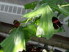 Filename=DSC00236.JPG
Filesize=296KiB
Dimensions=2048x1536
Date added=Jul 01, 2013 DSC00236.JPG