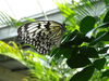 Filename=DSC00238.JPG
Filesize=326KiB
Dimensions=2048x1536
Date added=Jul 01, 2013 DSC00238.JPG