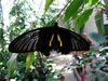 Filename=DSC00261.JPG
Filesize=429KiB
Dimensions=2048x1536
Date added=Jul 01, 2013 DSC00261.JPG