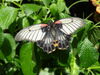 DSC00304.JPG