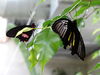 Filename=DSC00321.JPG
Filesize=319KiB
Dimensions=2048x1536
Date added=Jul 01, 2013 DSC00321.JPG