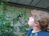 Filename=DSC00324.JPG
Filesize=526KiB
Dimensions=2048x1536
Date added=Jul 01, 2013 DSC00324.JPG