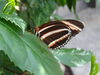 Filename=DSC00333.JPG
Filesize=278KiB
Dimensions=2048x1536
Date added=Jul 01, 2013 DSC00333.JPG