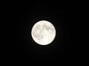 Filename=DSC00395.JPG
Filesize=176KiB
Dimensions=2048x1536
Date added=Jul 01, 2013 DSC00395.JPG