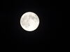 Filename=DSC00402.JPG
Filesize=196KiB
Dimensions=2048x1536
Date added=Jul 01, 2013 DSC00402.JPG