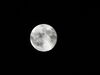 Filename=DSC00405.JPG
Filesize=97KiB
Dimensions=2048x1536
Date added=Jul 01, 2013 DSC00405.JPG