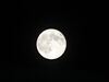 Filename=DSC00410.JPG
Filesize=197KiB
Dimensions=2048x1536
Date added=Jul 01, 2013 DSC00410.JPG