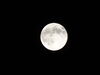 Filename=DSC00414.JPG
Filesize=93KiB
Dimensions=2048x1536
Date added=Jul 01, 2013 DSC00414.JPG
