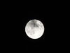 Filename=DSC00425.JPG
Filesize=96KiB
Dimensions=2048x1536
Date added=Jul 01, 2013 DSC00425.JPG