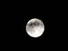 Filename=DSC00428.JPG
Filesize=96KiB
Dimensions=2048x1536
Date added=Jul 01, 2013 DSC00428.JPG