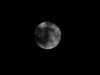 Filename=DSC00433.JPG
Filesize=94KiB
Dimensions=2048x1536
Date added=Jul 01, 2013 DSC00433.JPG