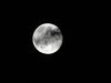 Filename=DSC00449.JPG
Filesize=101KiB
Dimensions=2048x1536
Date added=Jul 01, 2013 DSC00449.JPG