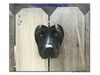 Filename=Puppy_Love.jpg
Filesize=30KiB
Dimensions=612x459
Date added=May 28, 2009 Puppy_Love.jpg