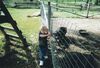Filename=20050917_004.jpg
Filesize=441KiB
Dimensions=2048x1397
Date added=Jul 26, 2026 20050917_004.jpg