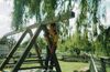 Filename=20050917_005.jpg
Filesize=409KiB
Dimensions=2047x1332
Date added=Jul 26, 2026 20050917_005.jpg