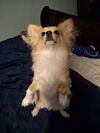 20250323_007.jpg