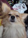 20250809_003.jpg