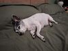 Filename=20250817_003.jpg
Filesize=349KiB
Dimensions=2048x1536
Date added=Aug 29, 2026 20250817_003.jpg