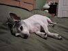 Filename=20250817_004.jpg
Filesize=361KiB
Dimensions=2048x1536
Date added=Aug 29, 2026 20250817_004.jpg