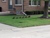 Filename=20250817_007.jpg
Filesize=584KiB
Dimensions=2048x1536
Date added=Aug 29, 2026 20250817_007.jpg