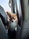Filename=20250817_021.jpg
Filesize=615KiB
Dimensions=2047x2730
Date added=Aug 29, 2026 20250817_021.jpg