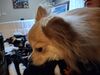 Filename=20250913_003.jpg
Filesize=309KiB
Dimensions=2048x1536
Date added=Aug 29, 2026 20250913_003.jpg