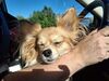 Filename=20250915_002.jpg
Filesize=531KiB
Dimensions=2048x1536
Date added=Aug 29, 2026 20250915_002.jpg