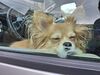 Filename=20250917_002.jpg
Filesize=520KiB
Dimensions=2048x1536
Date added=Aug 29, 2026 20250917_002.jpg