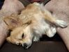Filename=20250921_001.jpg
Filesize=382KiB
Dimensions=2047x1552
Date added=Aug 29, 2026 20250921_001.jpg