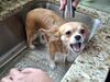 Filename=20250928_002.jpg
Filesize=537KiB
Dimensions=2048x1536
Date added=Aug 29, 2026 20250928_002.jpg