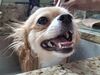 Filename=20250928_003.jpg
Filesize=440KiB
Dimensions=2048x1536
Date added=Aug 29, 2026 20250928_003.jpg