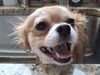 Filename=20250928_004.jpg
Filesize=416KiB
Dimensions=2048x1536
Date added=Aug 29, 2026 20250928_004.jpg