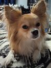 Filename=20250929_003.jpg
Filesize=616KiB
Dimensions=2047x2730
Date added=Aug 29, 2026 20250929_003.jpg