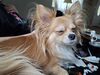 Filename=20251006_001.jpg
Filesize=536KiB
Dimensions=2048x1536
Date added=Aug 29, 2026 20251006_001.jpg