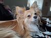 Filename=20251006_002.jpg
Filesize=533KiB
Dimensions=2048x1536
Date added=Aug 29, 2026 20251006_002.jpg