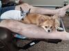 Filename=20251011_003.jpg
Filesize=587KiB
Dimensions=2048x1536
Date added=Aug 29, 2026 20251011_003.jpg