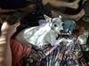Filename=20251018_001.jpg
Filesize=544KiB
Dimensions=2048x1536
Date added=Aug 29, 2026 20251018_001.jpg
