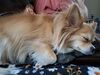 Filename=20251020_001.jpg
Filesize=440KiB
Dimensions=2048x1536
Date added=Aug 29, 2026 20251020_001.jpg