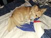 Filename=20251105_001.jpg
Filesize=611KiB
Dimensions=2048x1536
Date added=Aug 29, 2026 20251105_001.jpg